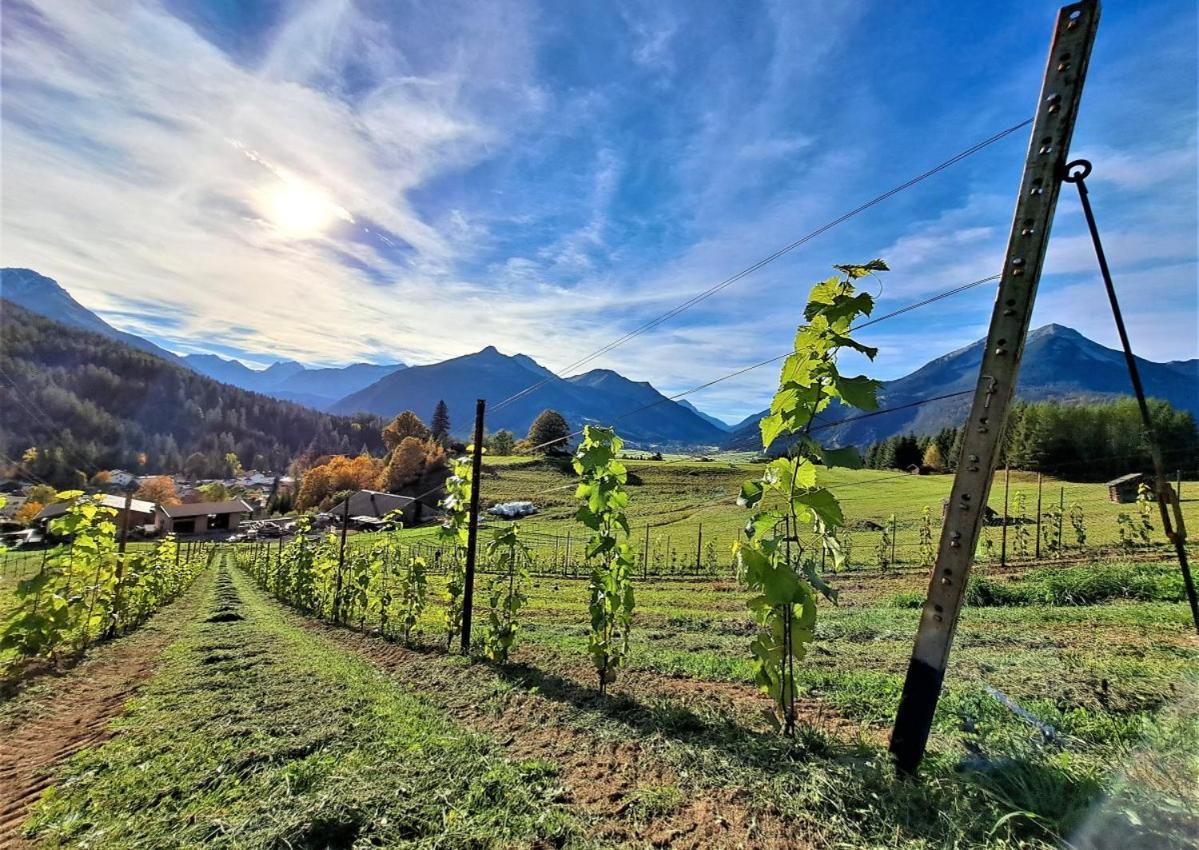 Ferienwohnung Der Trueferhof Ehrwald Exterior foto