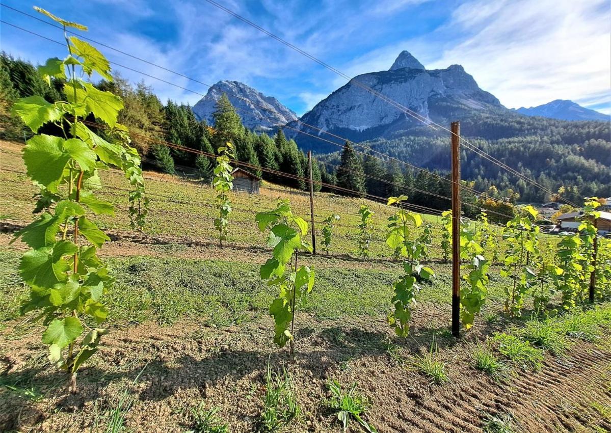 Ferienwohnung Der Trueferhof Ehrwald Exterior foto